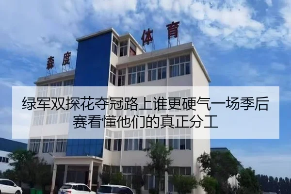 绿军双探花夺冠路上谁更硬气一场季后赛看懂他们的真正分工 - kaiyun